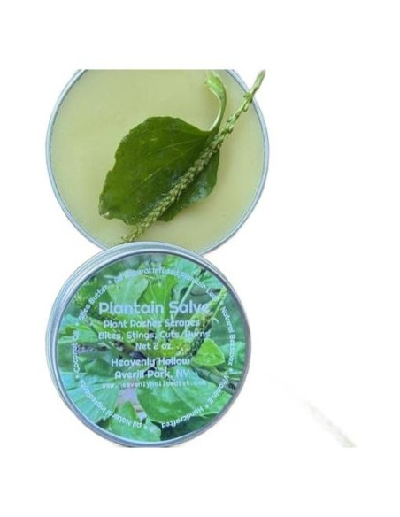 Ungüento de Plátano Silvestre Orgánico 100g - Cuidado de la Piel Ungüento de Plátano Silvestre Orgánico 100g - Cuidado de la Piel
