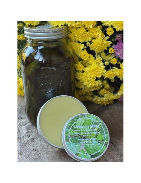 Ungüento de Plátano Silvestre Orgánico 100g - Cuidado de la Piel Ungüento de Plátano Silvestre Orgánico 100g - Cuidado de la Piel