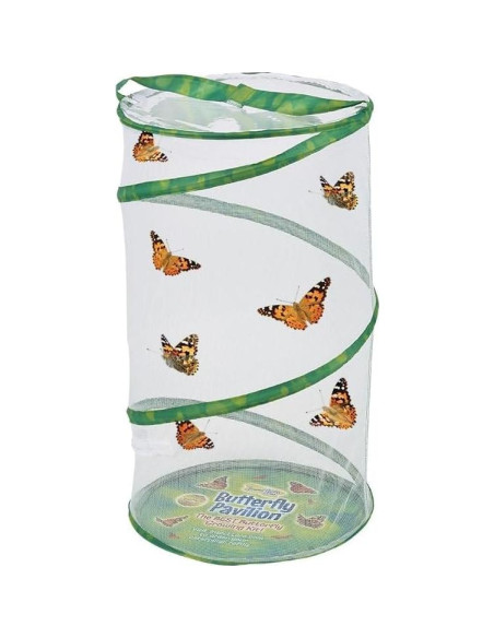 Recarga Kit Escolar Insect Lore 33 Orugas Vivas 59ml Recarga Kit Escolar Insect Lore 33 Orugas Vivas 59ml
