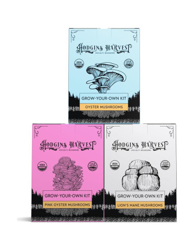 Kit de Cultivo de Champiñones Orgánicos Hodgins Harvest - 3 Paquetes