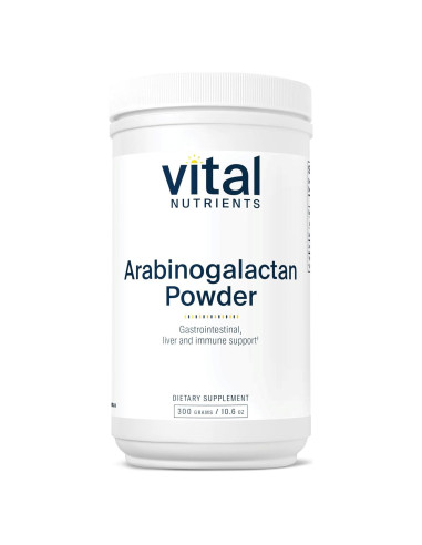 Polvo de Arabinogalactano Nutrientes Vitales 300g - Fibra Prebiótica Vegana