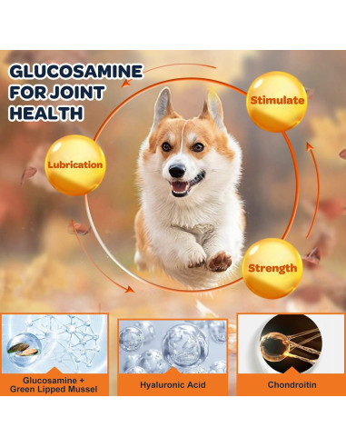 Suplemento Articular para Perros Nature Target 120 Galletas Pollo