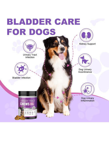 Suplemento de Arándano TTLXBL para UTI en Perros 200 Masticables