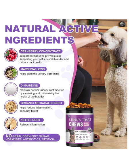 Suplemento de Arándano TTLXBL para UTI en Perros 200 Masticables Suplemento de Arándano TTLXBL para UTI en Perros 200 Masticables