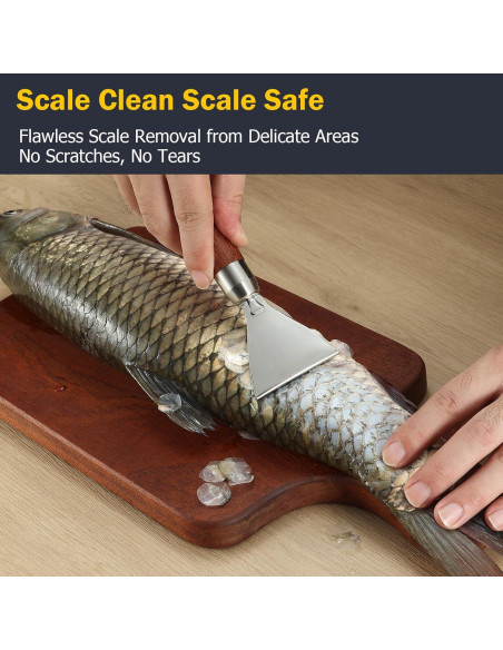 Removedor de Escamas de Pescado Iziusy Acero Inoxidable Removedor de Escamas de Pescado Iziusy Acero Inoxidable