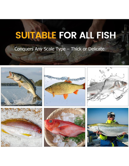 Removedor de Escamas de Pescado Iziusy Acero Inoxidable Removedor de Escamas de Pescado Iziusy Acero Inoxidable