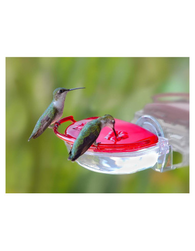 Alimentador de Colibríes de Ventana Aspects 437 118ml Rojo