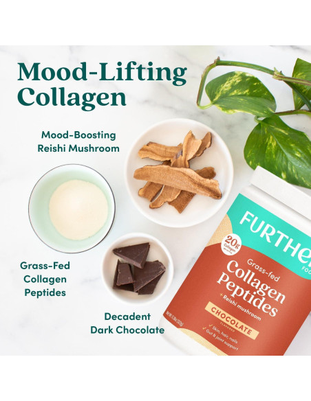 Polvo de Colágeno Hidrolizado de Chocolate Further Food 690 g Polvo de Colágeno Hidrolizado de Chocolate Further Food 690 g