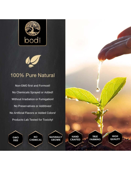 Polvo de Raíz de Diente de León Bodi 454g 100% Natural Polvo de Raíz de Diente de León Bodi 454g 100% Natural