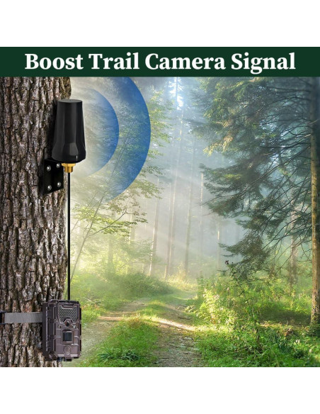 Antena Celular Bingfu 4G LTE RP-SMA para Cámara de Caza Antena Celular Bingfu 4G LTE RP-SMA para Cámara de Caza