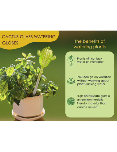 Esferas de Riego Automático Ahhute Cactus - Paquete de 3