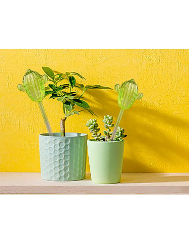Esferas de Riego Automático Ahhute Cactus - Paquete de 3
