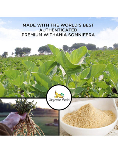 Cápsulas de Ashwagandha Orgánica Veda 1500mg - 120 Veggie