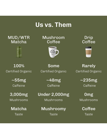 MUDWTR Polvo de Matcha Orgánico 3000mg Hongos Adaptogénicos MUDWTR Polvo de Matcha Orgánico 3000mg Hongos Adaptogénicos