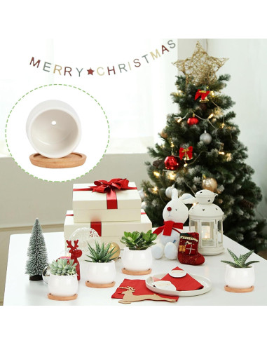 Maceta de Cerámica Blanca con Bandeja de Bambú - 8 Piezas 6.4 cm