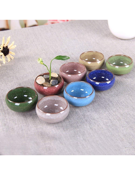 Macetas de Cerámica para Suculentas Mi Decor 12 Pcs 6.4 cm Macetas de Cerámica para Suculentas Mi Decor 12 Pcs 6.4 cm