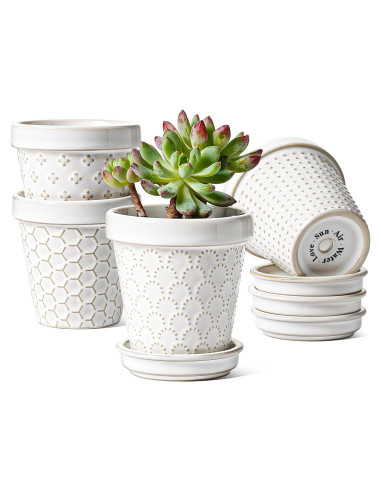 Macetas Cerámicas para Suculentas LE TAUCI - Set de 4, 7.6 cm