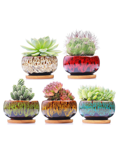Set de 5 Maceteros de Cerámica LamDawn para Suculentas