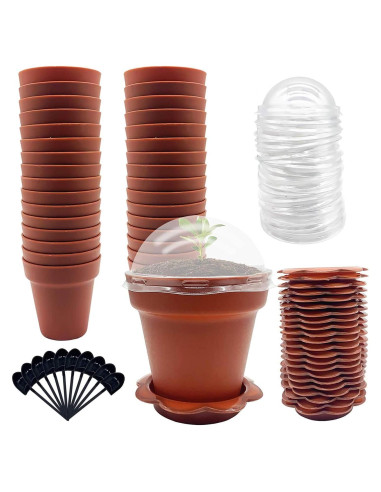30 Macetas de Vivero PURPLE STAR 1N con Domo de Humedad