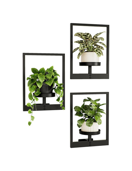 Macetas de Pared Bamworld - Soporte para Plantas - Paquete de 3 Macetas de Pared Bamworld - Soporte para Plantas - Paquete de 3