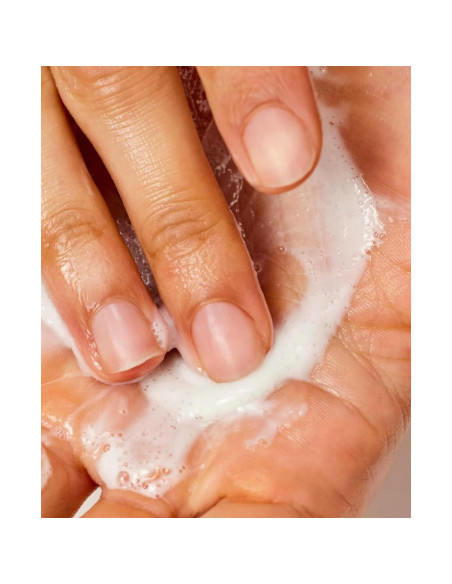 Desmaquillante Acure Seriously Soothing Jelly Milk 118 ml - Piel Sensible Desmaquillante Acure Seriously Soothing Jelly Milk 118 ml - Piel Sensible