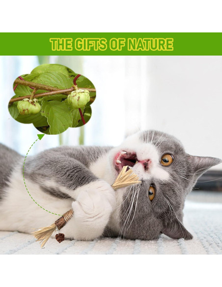 Paquete de 3 Palos Masticables de Plata para Gatos GBSYU Paquete de 3 Palos Masticables de Plata para Gatos GBSYU