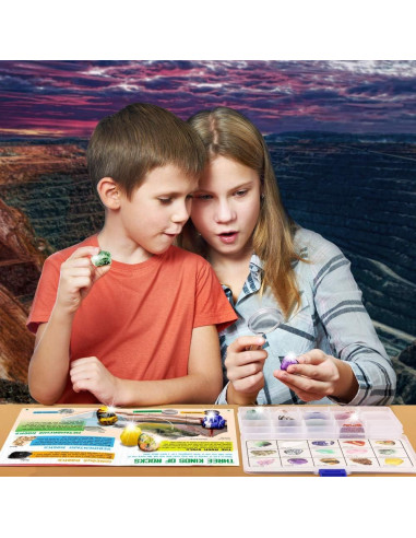 Colección de Rocas XXTOYS - 15 Piezas para Niños con Guía