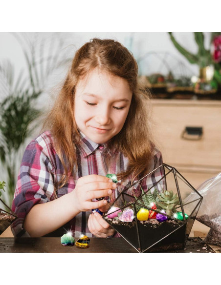 Colección de Rocas XXTOYS - 15 Piezas para Niños con Guía Colección de Rocas XXTOYS - 15 Piezas para Niños con Guía