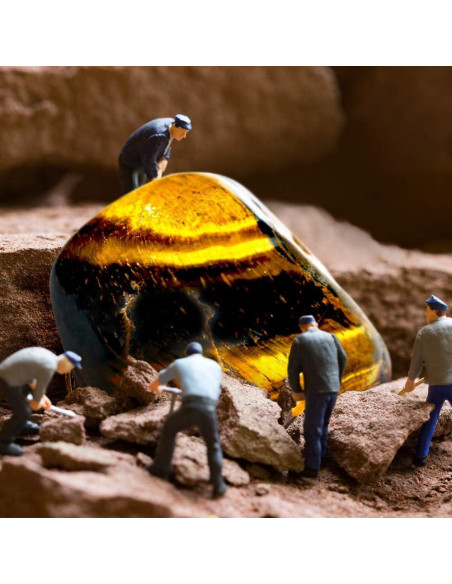 Colección de Rocas XXTOYS - 15 Piezas para Niños con Guía Colección de Rocas XXTOYS - 15 Piezas para Niños con Guía