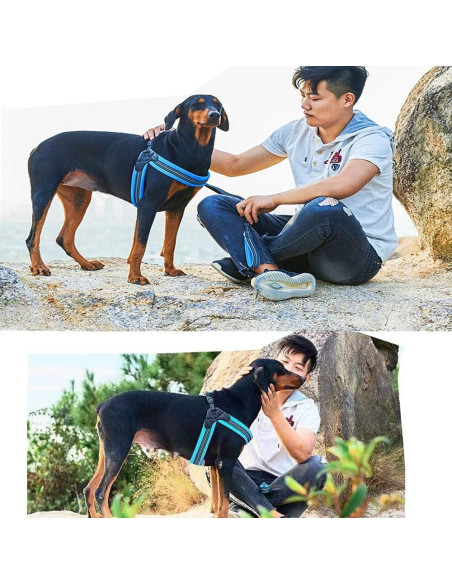 Arnés Suave Acolchado para Perros US AMY Mediano Negro Arnés Suave Acolchado para Perros US AMY Mediano Negro