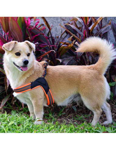 Arnés Suave Acolchado para Perros US AMY Mediano Negro