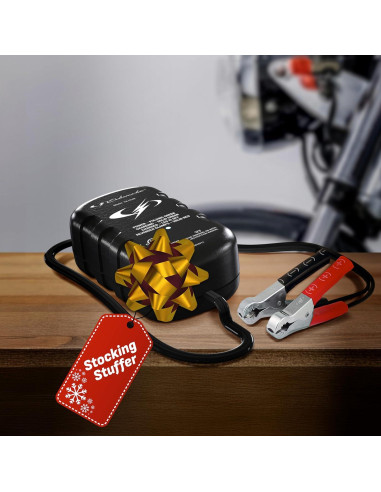 Cargador Mantenedor Schumacher SC1299 0.8A 12V Automático
