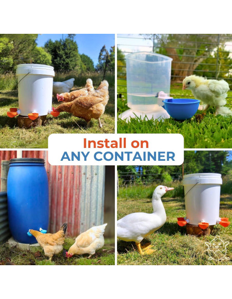 Paquete de 5 Tazas Automáticas de Agua Lil Clucker 7,62 cm Paquete de 5 Tazas Automáticas de Agua Lil Clucker 7,62 cm