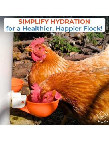 Paquete de 5 Tazas Automáticas de Agua Lil Clucker 7,62 cm