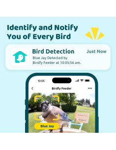 Alimentador Inteligente NETVUE Birdfy Pro con Cámara 1080p 2