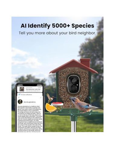 Comedero Inteligente para Aves PEEIPM con Cámara Solar 2K