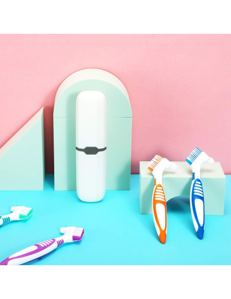 Cepillos de Dentaduras WILLBOND 6 Piezas con Estuche Cepillos de Dentaduras WILLBOND 6 Piezas con Estuche