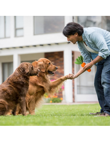 Juguete Squeaky para Perros MewaJump Zanahoria 22,86 cm