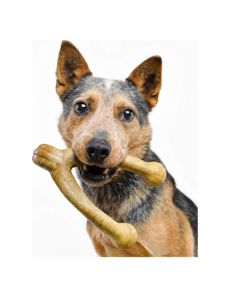 Juguete de Masticar Pet Qwerks BarkBone Mantequilla de Maní 20,96 cm Juguete de Masticar Pet Qwerks BarkBone Mantequilla de Maní 20,96 cm