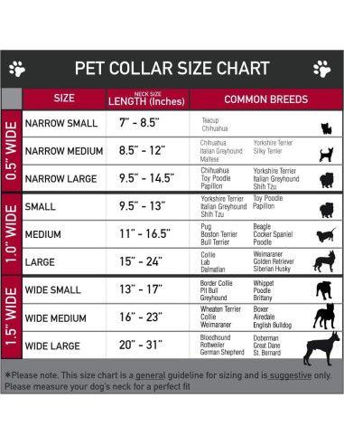 Collar para Perro Star Wars Buckle-Down 17.78-21.59 cm