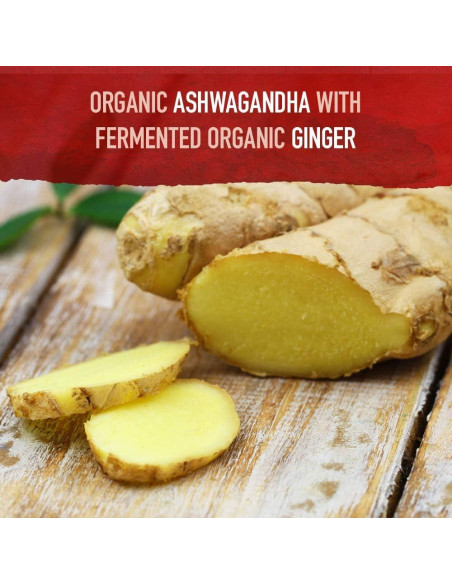 Suplemento Ashwagandha Orgánico Garden of Life 60 Tabletas Suplemento Ashwagandha Orgánico Garden of Life 60 Tabletas
