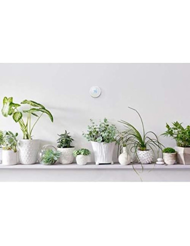 Termostato Inteligente Google Nest E - Programable, Blanco