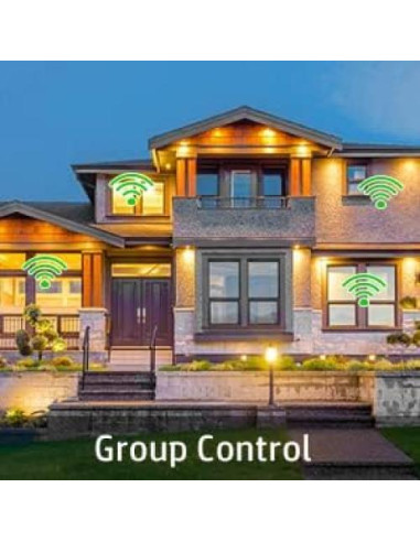 Interruptor Inteligente Avatar Controls WiFi con Control Remoto