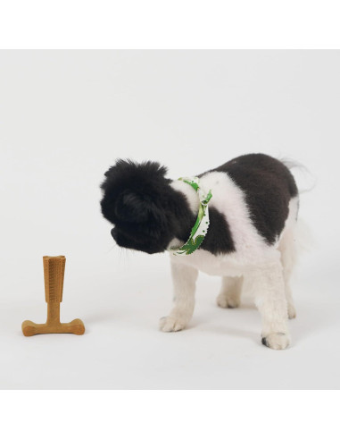 Juguete para Masticar Perros SPOT Bam-Bones Plus T-Bone 10cm