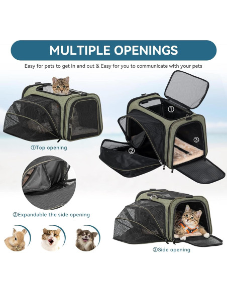 Transportín Expandible para Mascotas Petsfit S Verde 40.6x25.4x22.9 cm Transportín Expandible para Mascotas Petsfit S Verde 40.6x25.4x22.9 cm