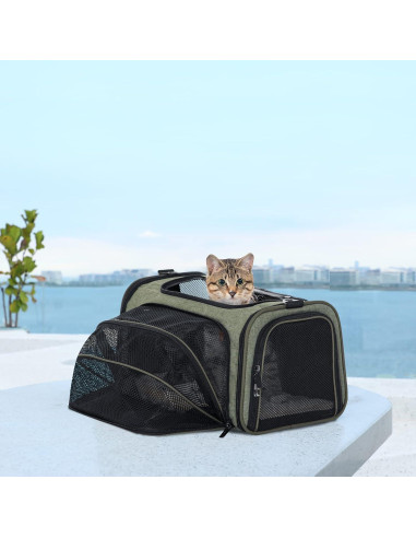 Transportín Expandible para Mascotas Petsfit S Verde 40.6x25.4x22.9 cm