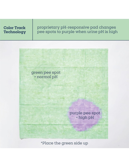 Almohadillas para Perros Pet Life Health Tracker 56x56 cm - 10 Unidades Almohadillas para Perros Pet Life Health Tracker 56x56 cm - 10 Unidades