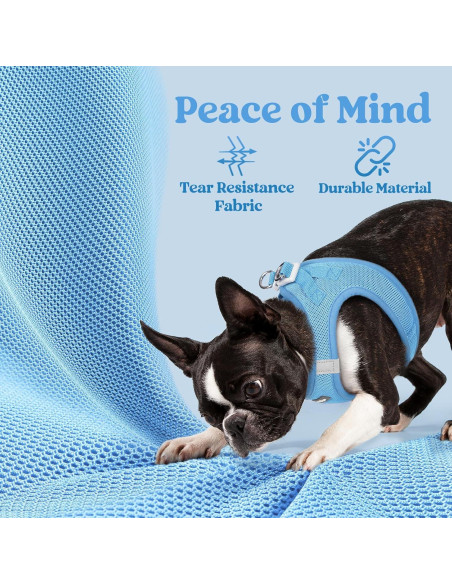 Arnés para Perros Pequeños Rabbitgoo XXXS Azul Transpirable Arnés para Perros Pequeños Rabbitgoo XXXS Azul Transpirable
