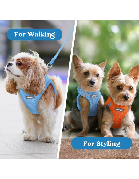 Arnés para Perros Pequeños Rabbitgoo XXXS Azul Transpirable Arnés para Perros Pequeños Rabbitgoo XXXS Azul Transpirable