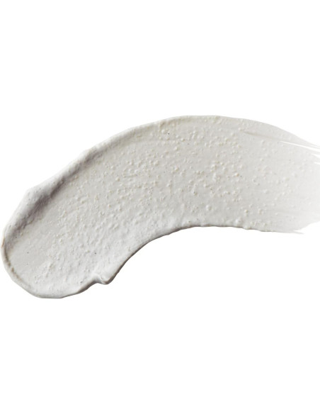 Mascarilla Exfoliante de Arcilla Burt's Bees 70g - Piel Matificada Mascarilla Exfoliante de Arcilla Burt's Bees 70g - Piel Matificada